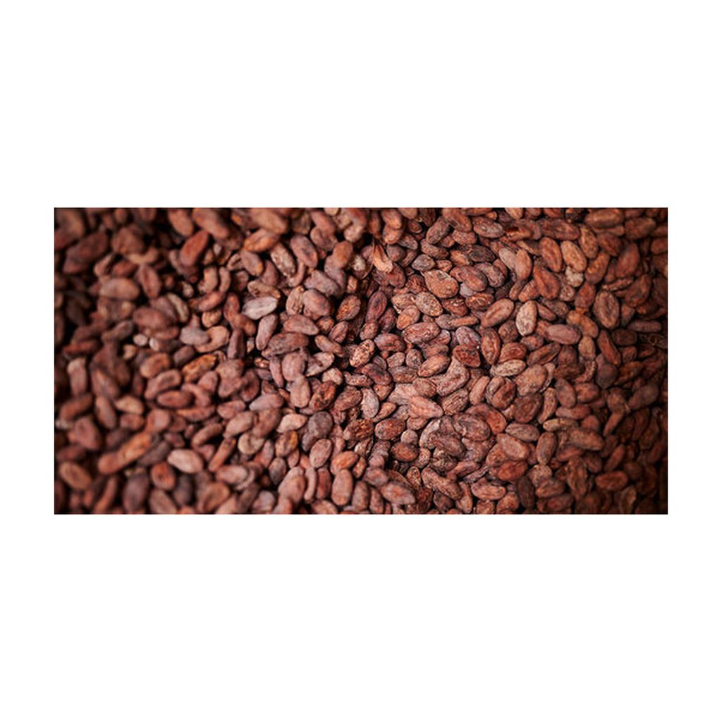 2,5kg - Fèves torréfiées de cacao Origine Sao Tomé VRAC bio - Nao