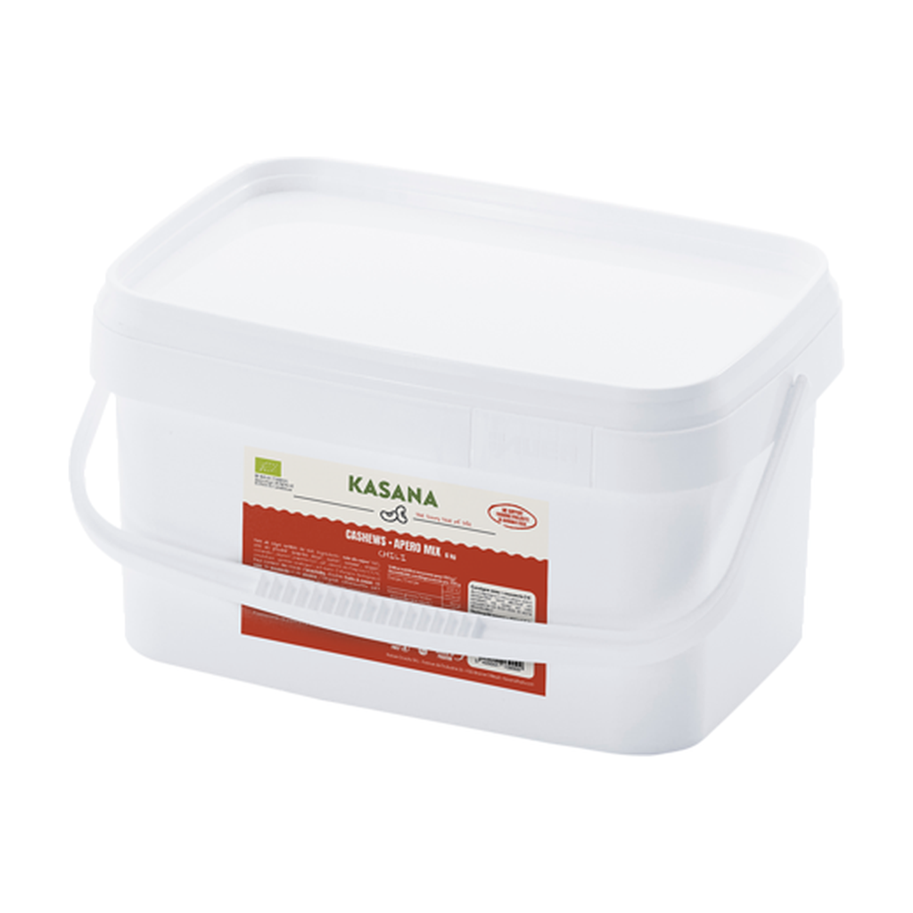 [NS-CAJCHIL6KG] 6kg - Noix de cajou Chili bio (consigné) - Kasana