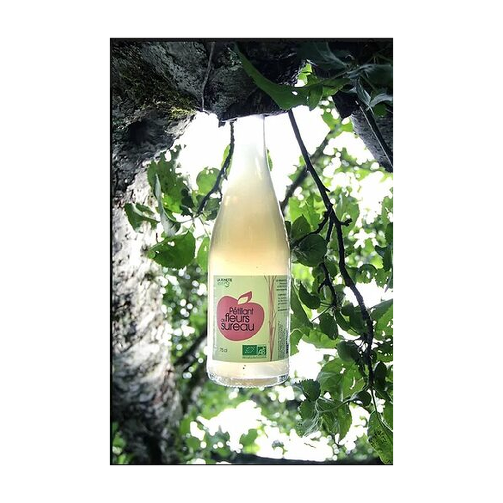 [VE-PET-SU75] 75cl - Pétillant de sureau bio - La Reinette