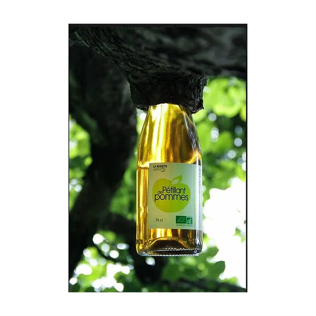 [VE-PET-PO75] 75cl - Pétillant de pomme bio - La Reinette