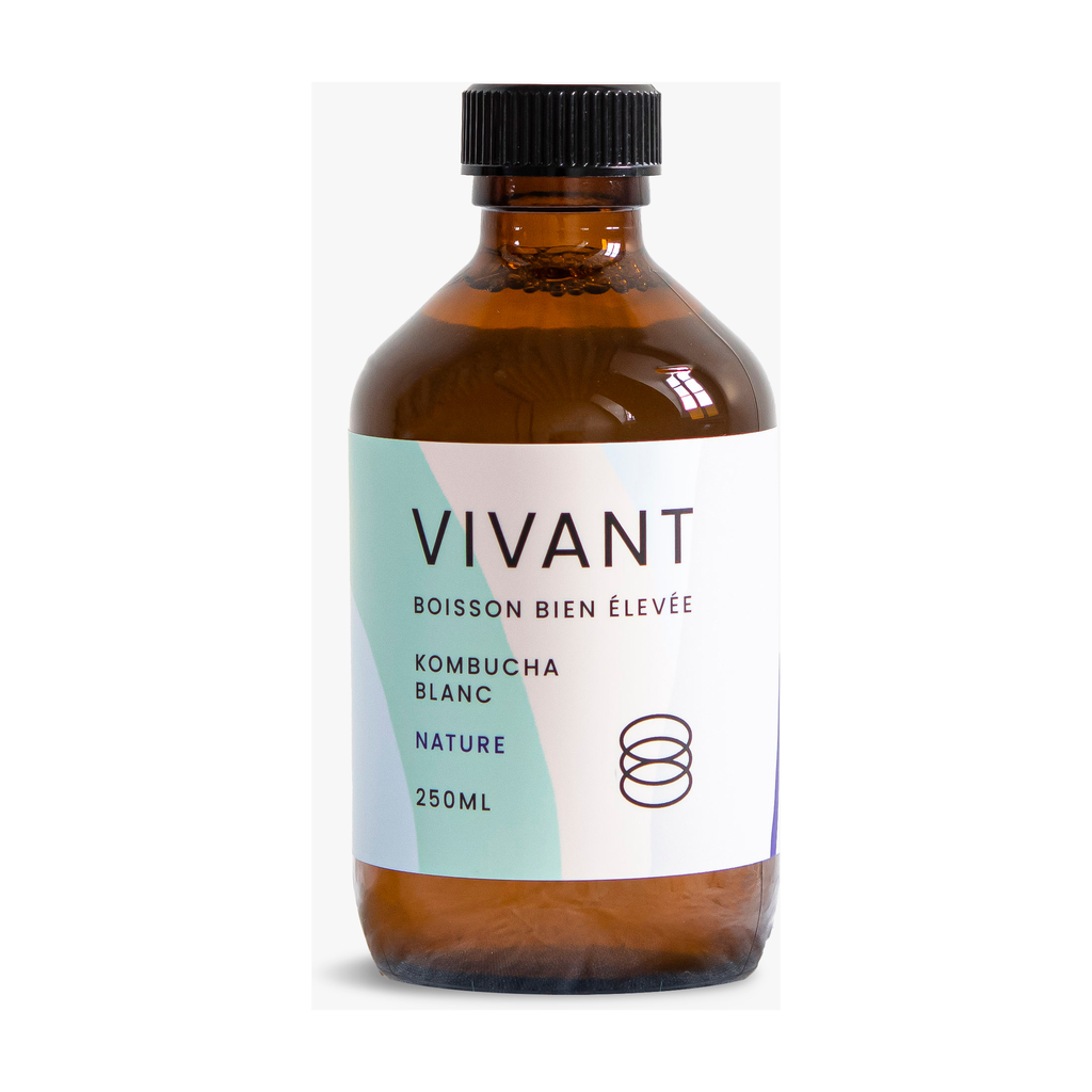 [VV-TBN27] 27,5cl - Kombucha Thé Blanc Nature bio (conserver au frais) - Vivant
