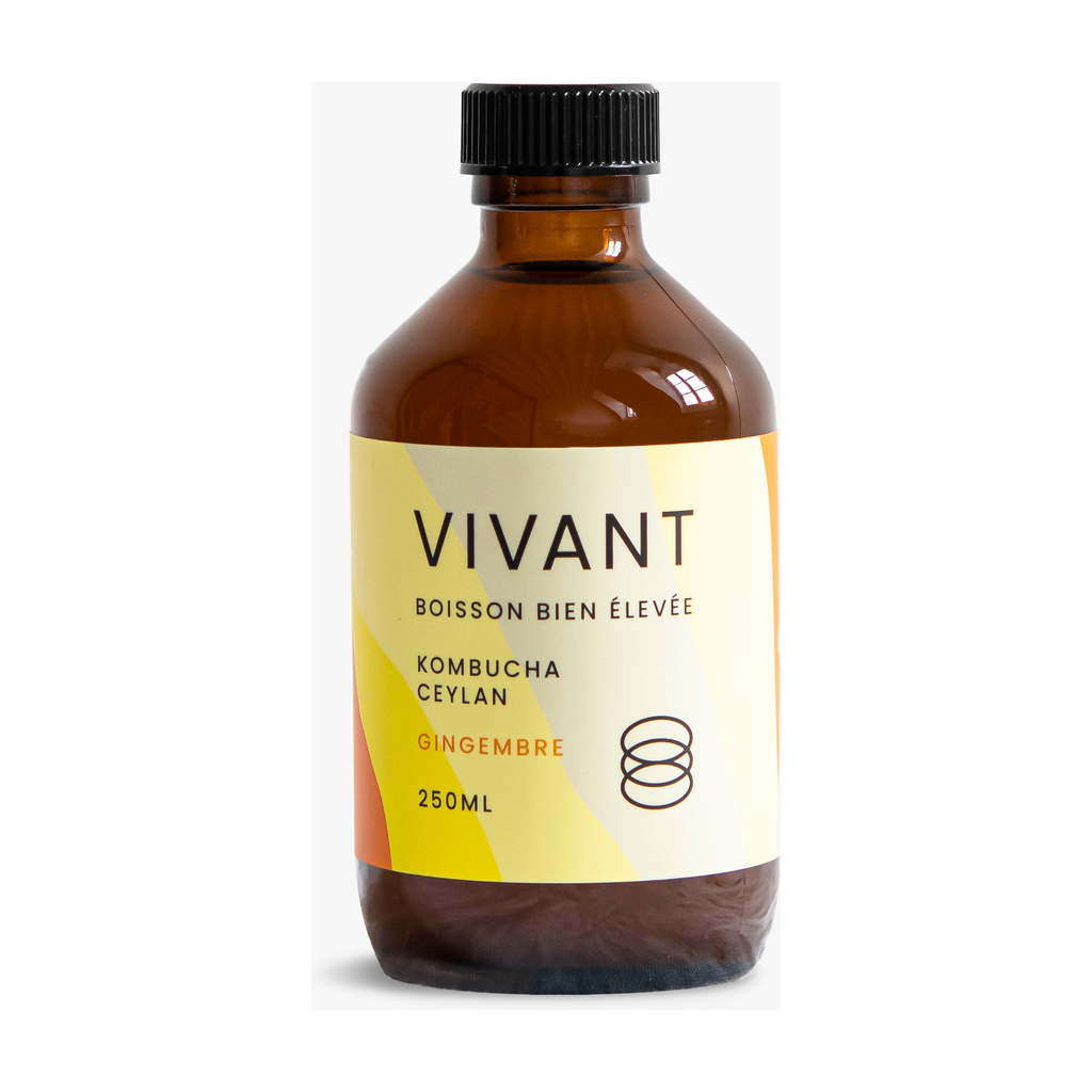 [VV-TCG27] 27,5cl - Kombucha Thé Ceylan Gingembre bio (conserver au frais) - Vivant