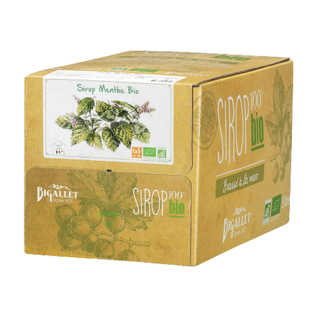 [BT-SIR-MENTH5L] 5l - Sirop de menthe (vrac) bio - Bigallet