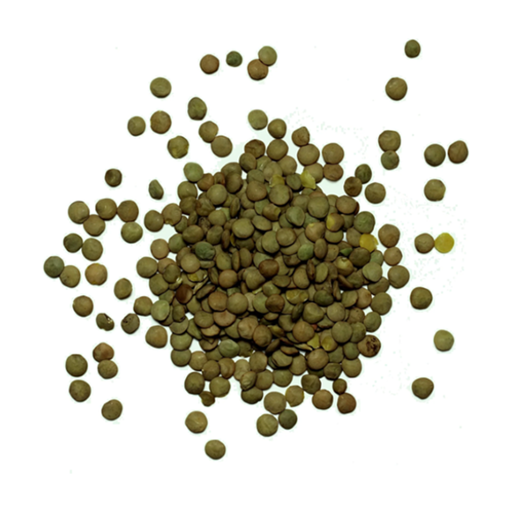 [BC-LV25KG] 25kg - Lentilles vertes bio - Biocer