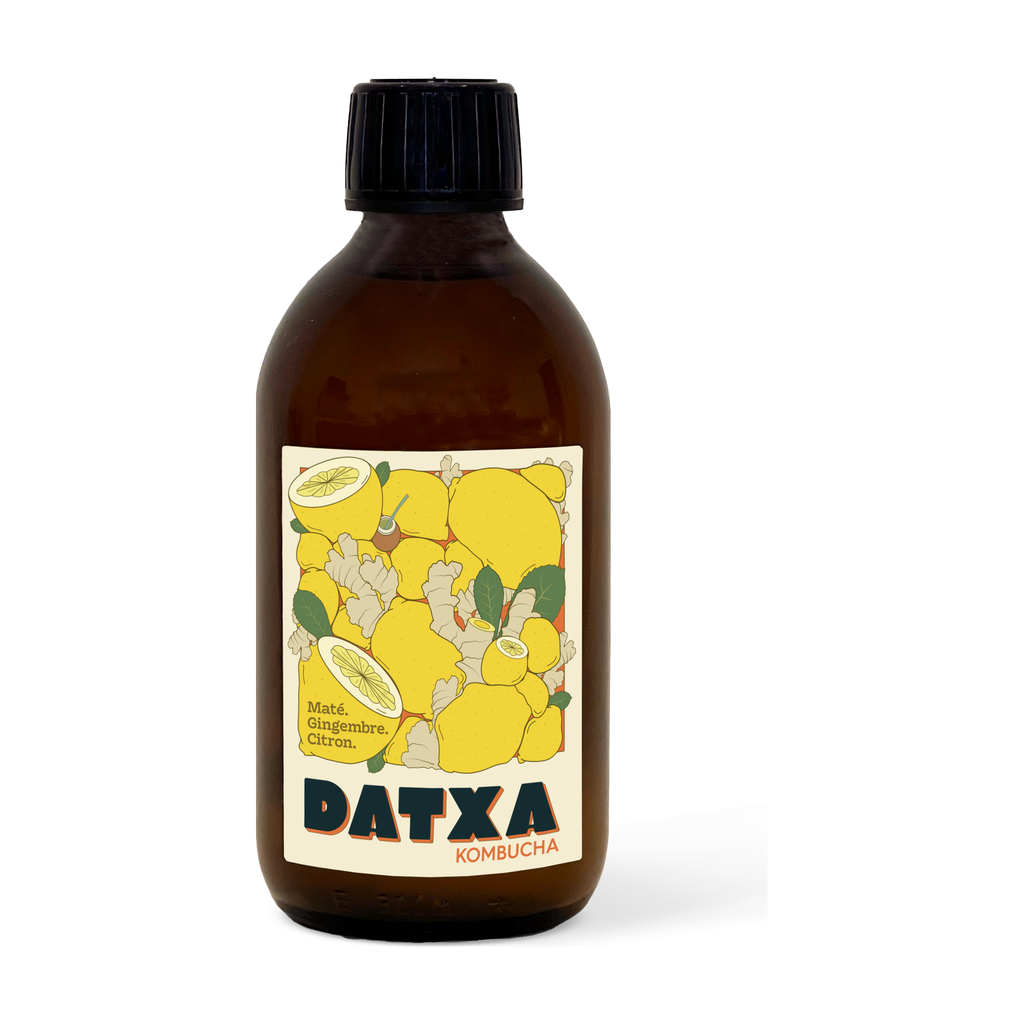 [DX-MG] 30cl - Kombucha Maté gingembre citron bio - Datxa
