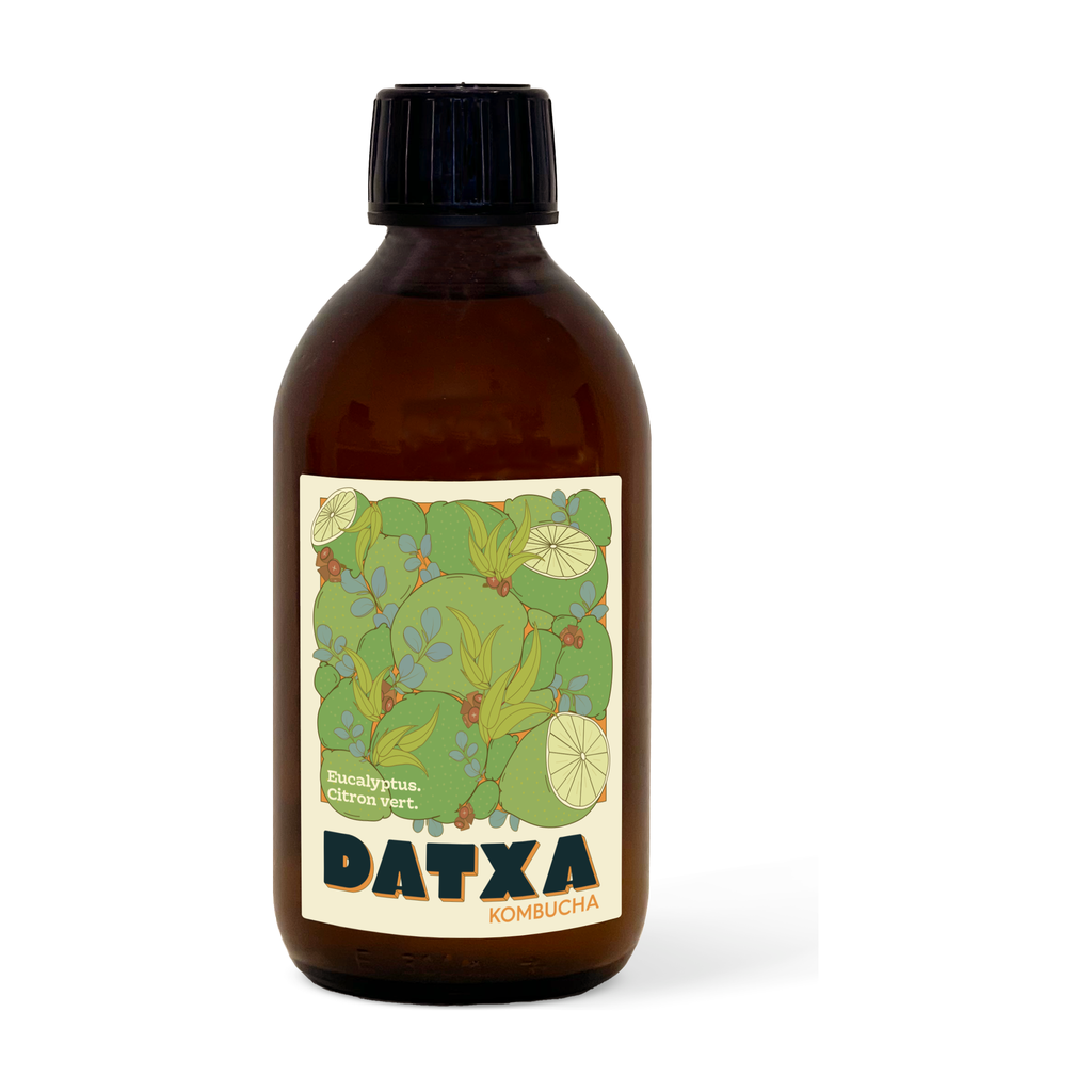 [DX-ECV] 30cl - Kombucha Eucalyptus citron vert bio - Datxa