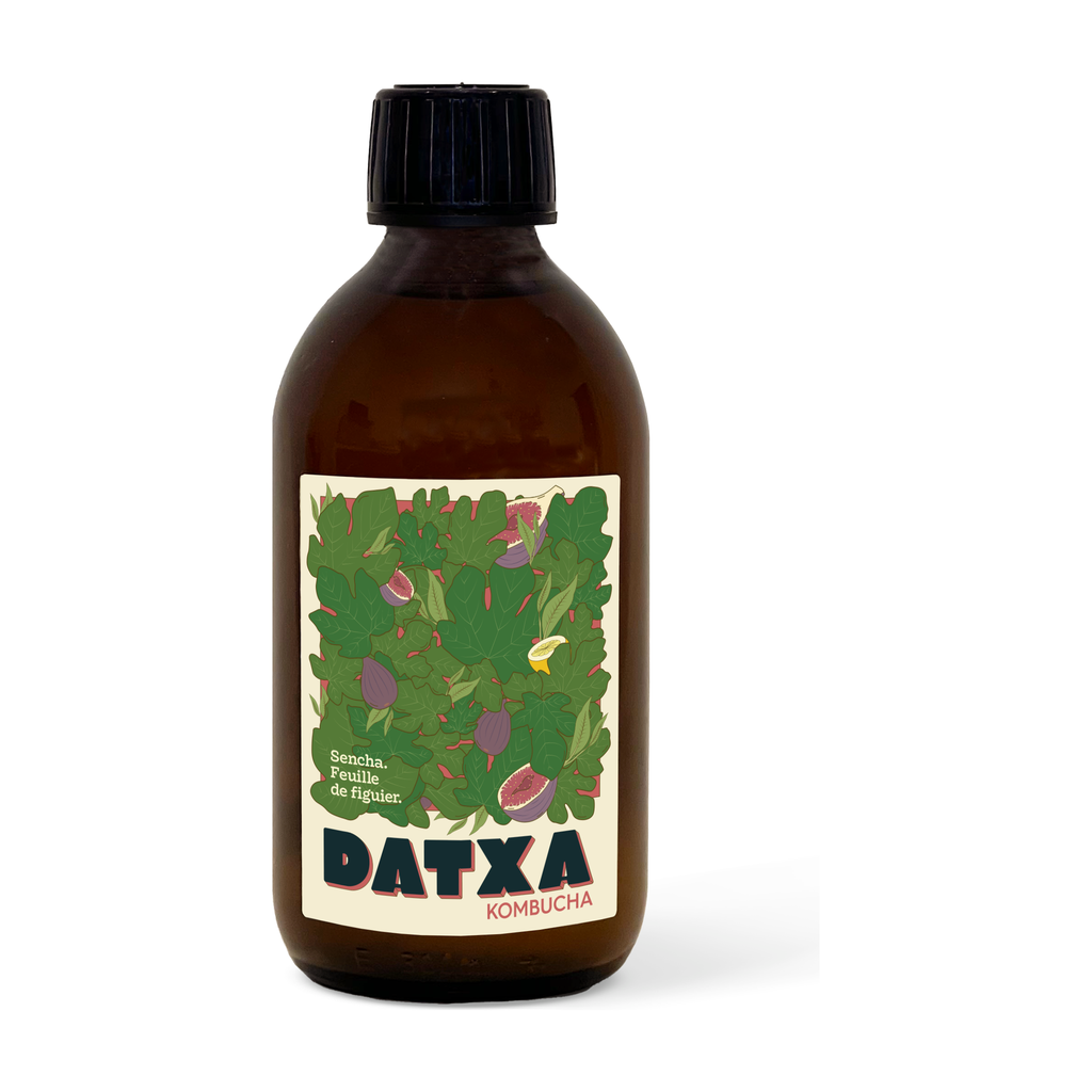 30cl - Kombucha Sencha feuille de figuier bio - Datxa