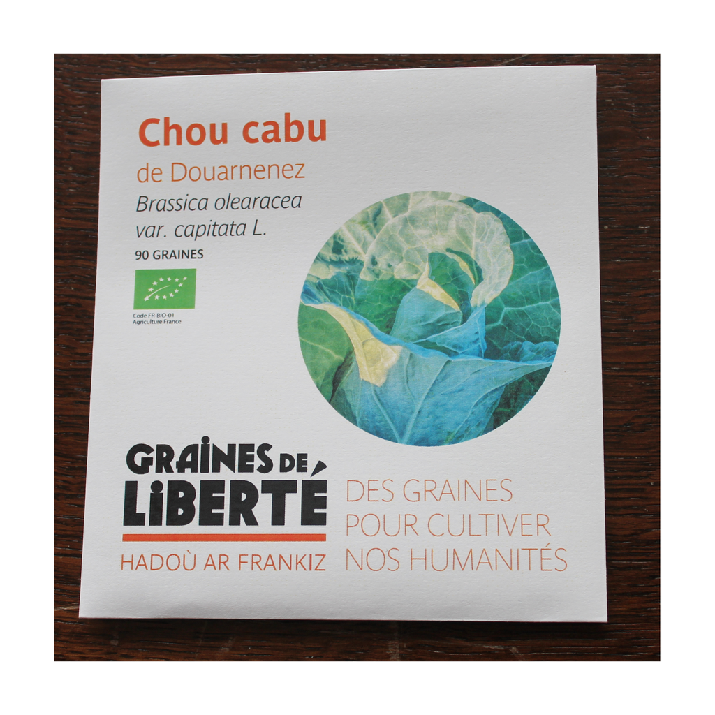 [GL-CHOUDOUAR] Semences Chou cabu de Douarnenez bio - Graînes de liberté