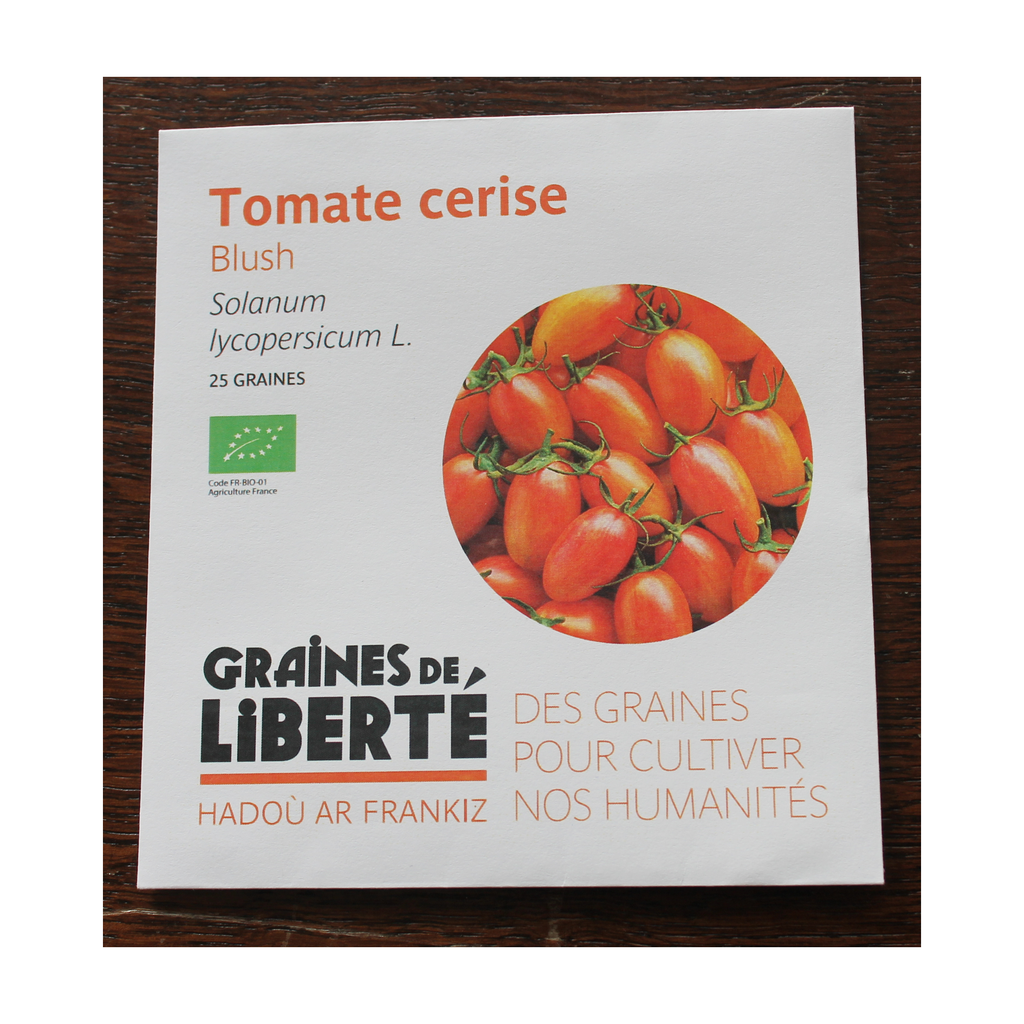 [GL-TOMBLU] Semences Tomate cerise Blushbio - Graînes de liberté