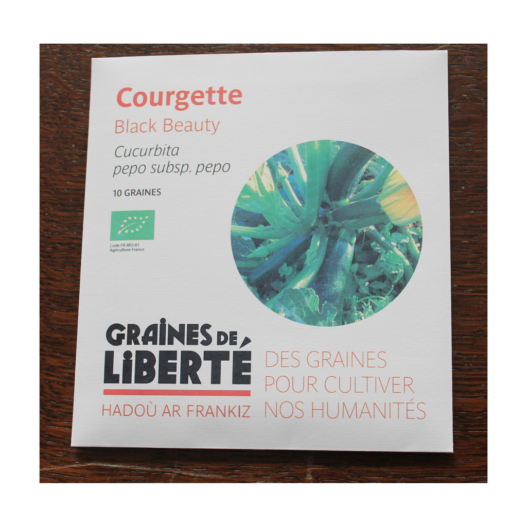Semences Courgette Black Beauty bio - Graînes de liberté